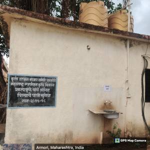 pinyace_pani_original